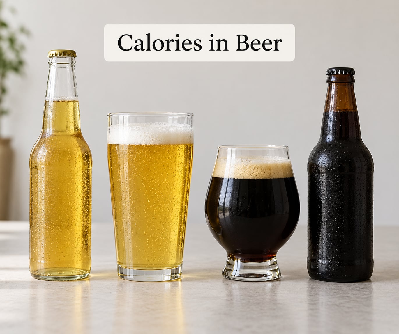 Calories in Beer