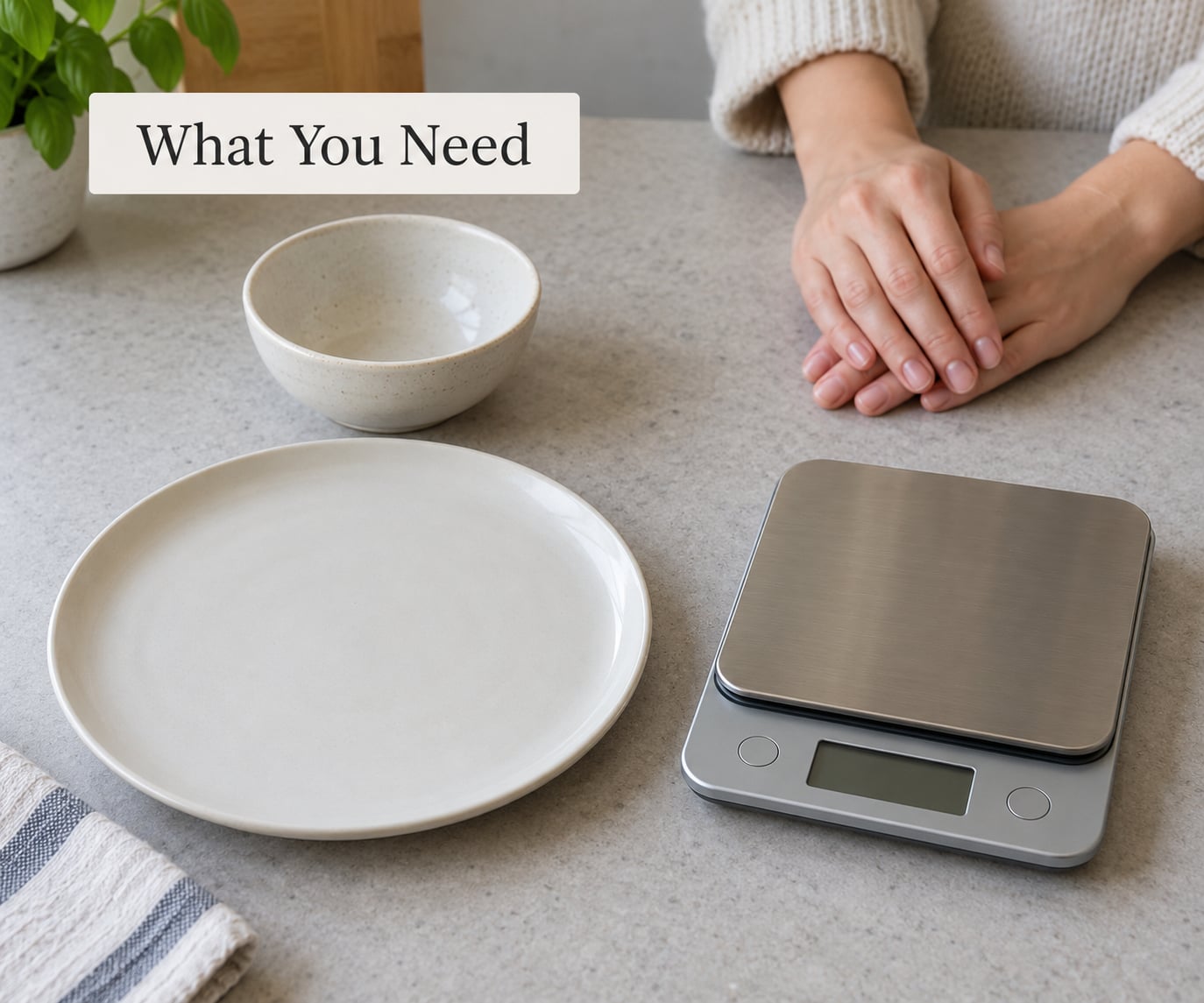 What You Need